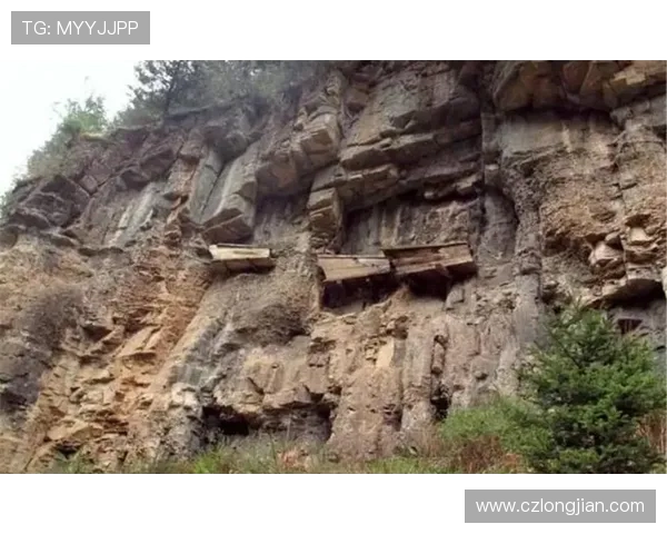 广州攀岩队整体压制革新之路探索与发展全景解析