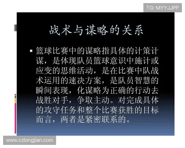 成都篮球队防反革新探索新战术提升整体竞争力的深度分析