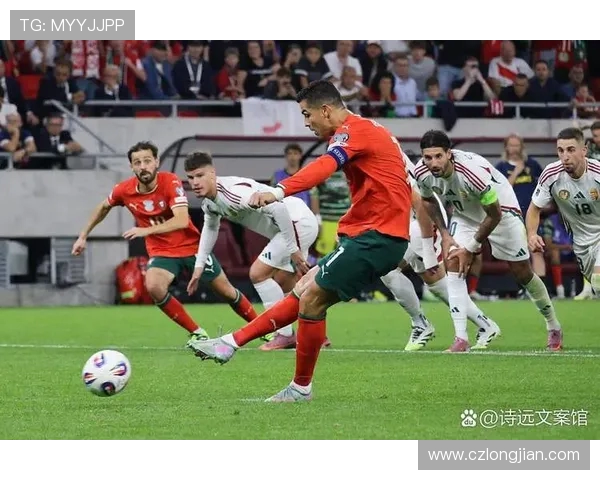 奥地利与匈牙利激战在即开球时刻引发球迷热情期待