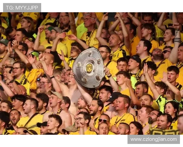 帕德伯恩主场迎战多特蒙德力争三分展现球队实力与斗志 帕德伯恩主场迎战多特蒙德力争三分展现球队实力与斗志