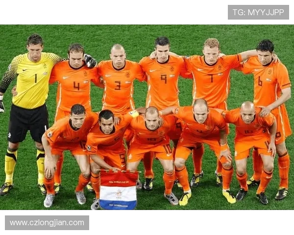 波黑对阵荷兰精彩视频直播全程回顾与赛后分析