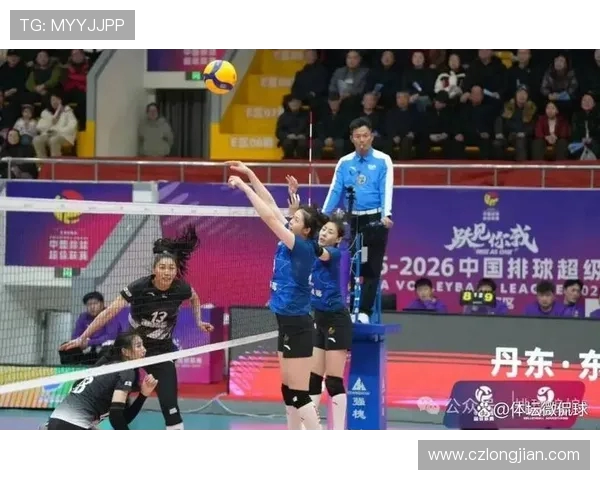 排球意识排行榜揭晓上海排球队荣登第八位展现实力与潜力