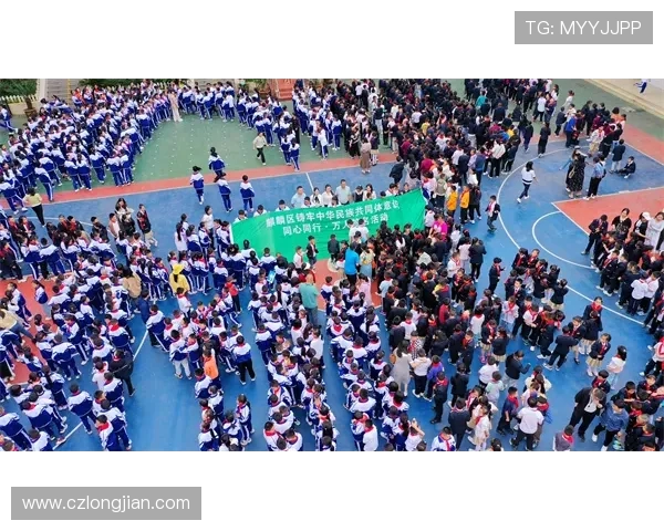 飞盘热潮席卷深圳聚焦飞盘队的拼搏与团结力量