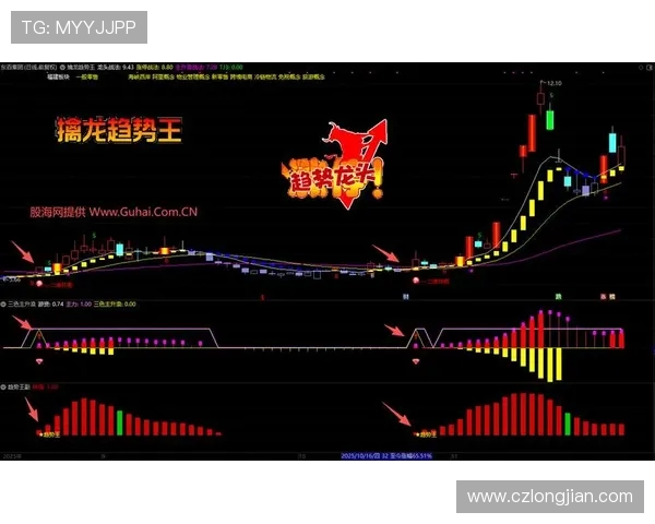 杨军专访揭秘街舞成功秘诀与未来发展趋势