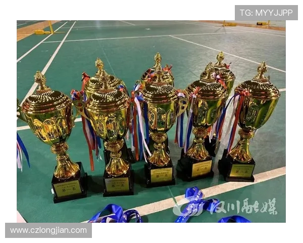 杭州羽毛球队在世锦赛积分榜上以68分稳居第一名展现强劲实力